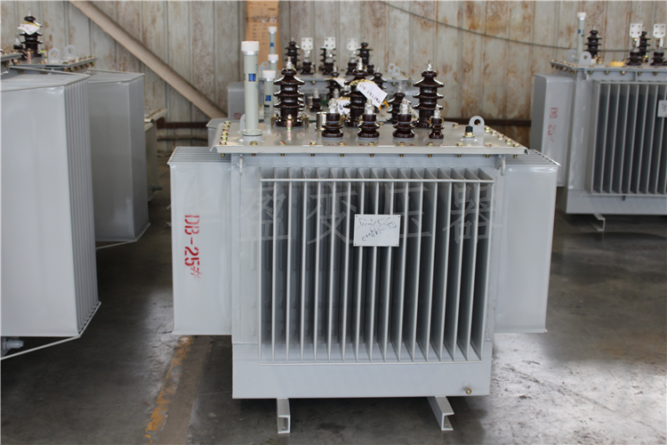 文山S20-800kVA/10kV/0.4kV变压器